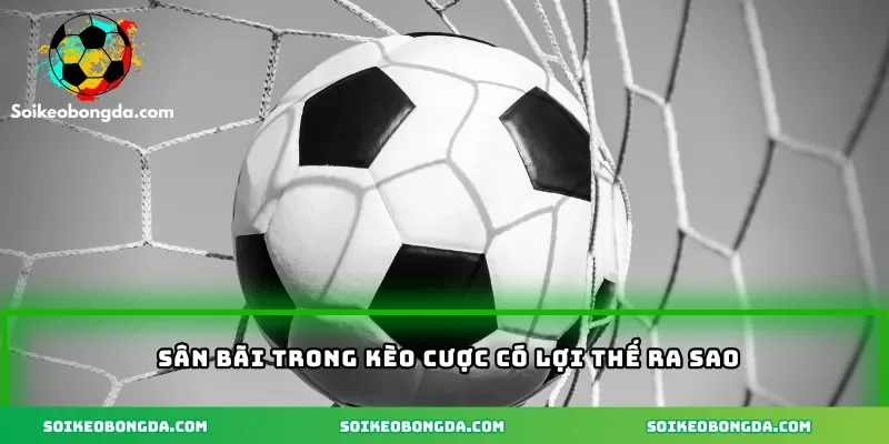 Sân bãi trong kèo cược có lợi thế ra sao