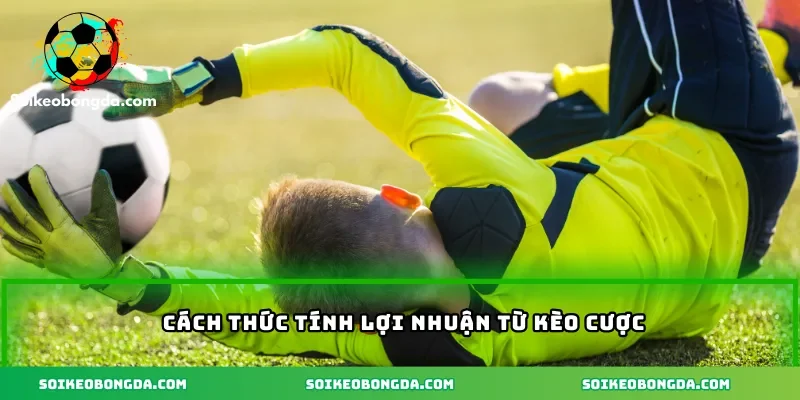 Cách thức tính lợi nhuận từ kèo cược