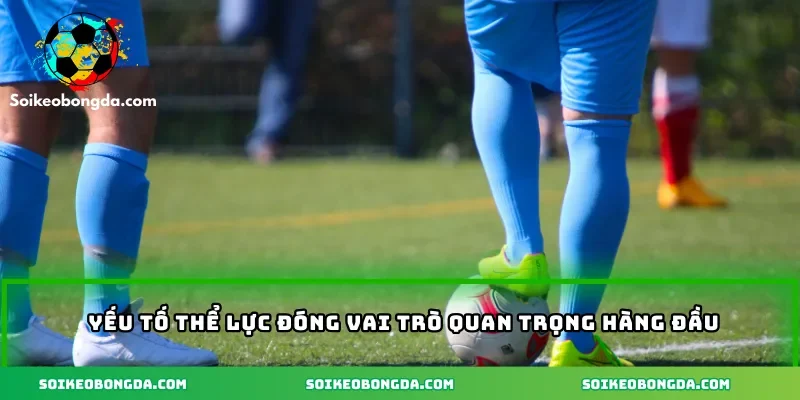 Yếu tố thể lực đóng vai trò quan trọng hàng đầu