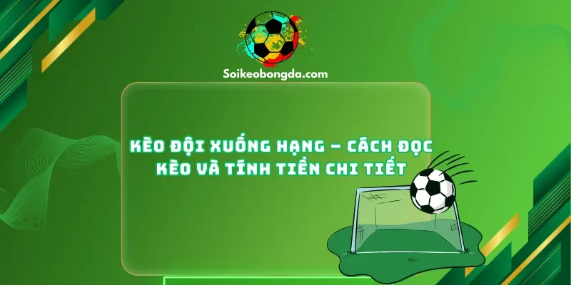 Kèo Đội Xuống Hạng – Cách Đọc Kèo Và Tính Tiền Chi Tiết