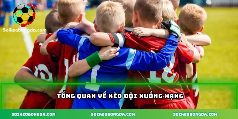 Tổng quan về kèo đội xuống hạng