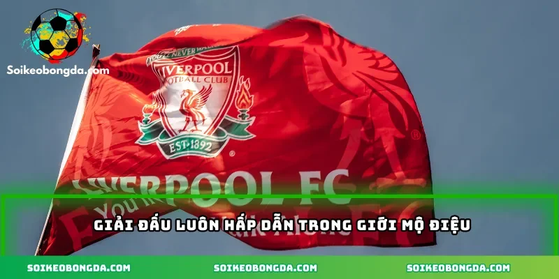 3 Giải đấu luôn hấp dẫn trong giới mộ điệu