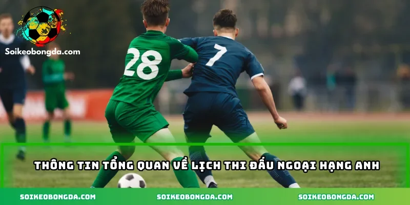 Thông tin tổng quan về kinh nghiệm xem lịch thi đấu Ngoại hạng Anh