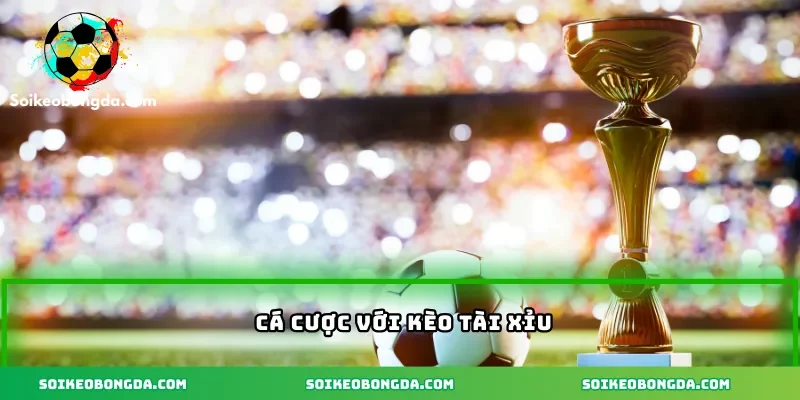 Cá cược với kèo tài xỉu