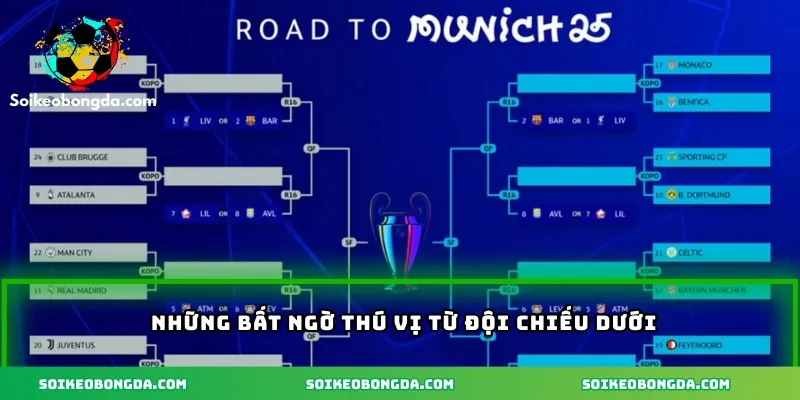 Những bất ngờ thú vị từ đội chiếu đuôi