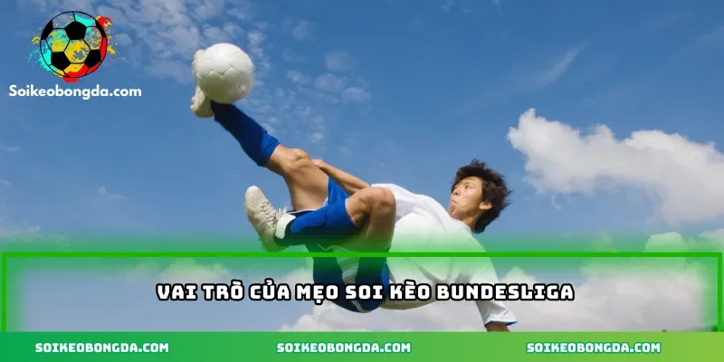 Vai trò của mẹo soi kèo Bundesliga