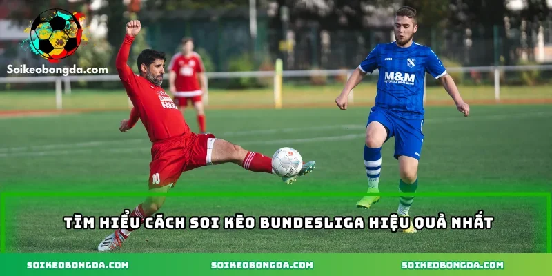 Tìm hiểu cách soi kèo Bundesliga hiệu quả nhất
