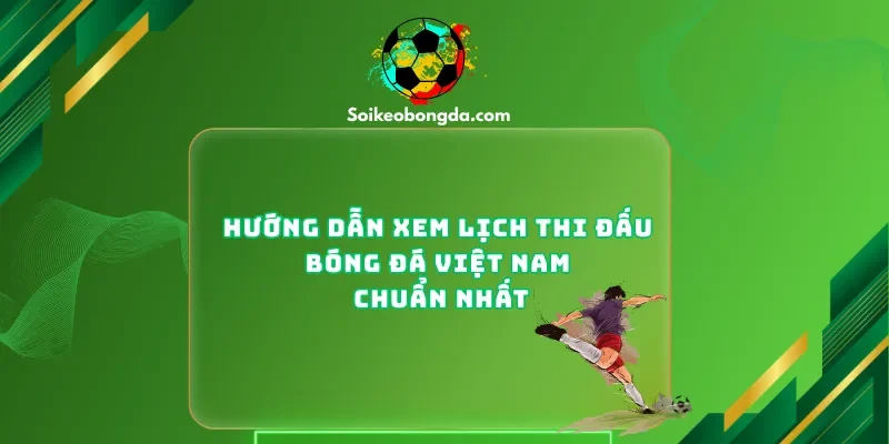 Hướng Dẫn Xem Lịch Thi Đấu Bóng Đá Việt Nam