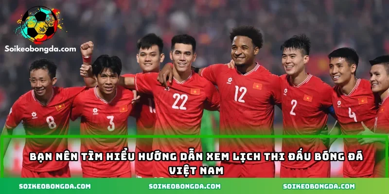 Bạn nên tìm hiểu hướng dẫn xem lịch thi đấu bóng đá Việt Nam
