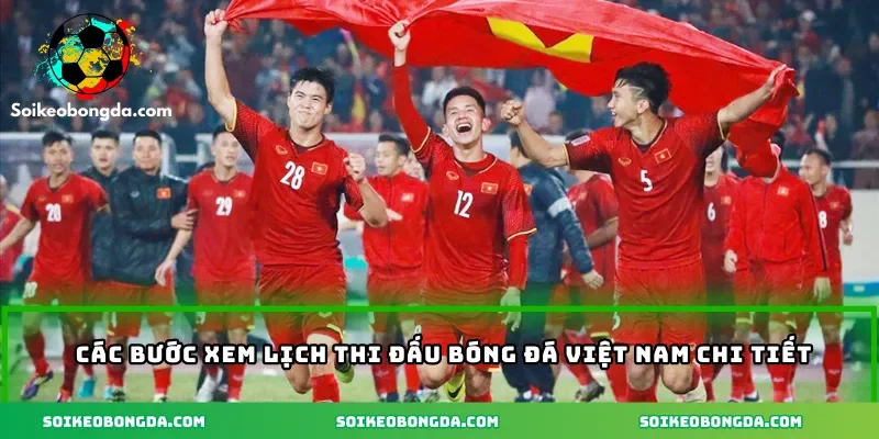 Các bước xem lịch thi đấu bóng đá Việt Nam chi tiết