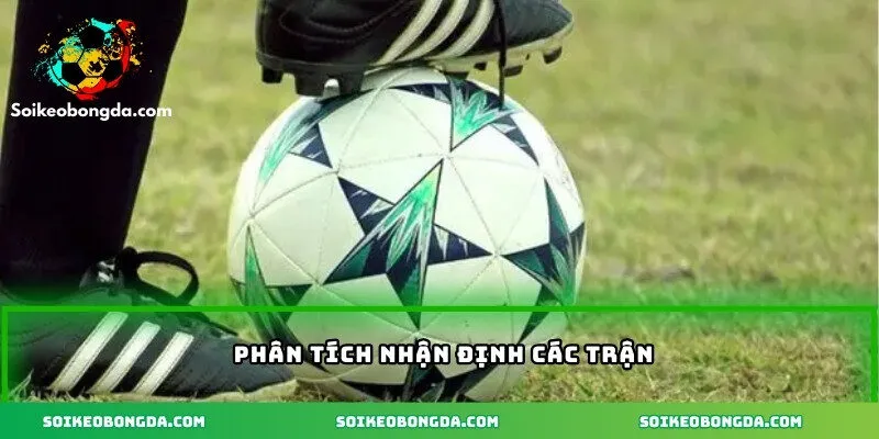 Phân tích nhận định các trận