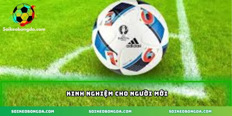 Kinh nghiệm cho người mới