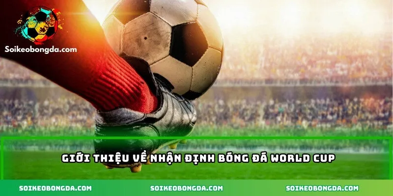 Giới thiệu về nhận định bóng đá World Cup