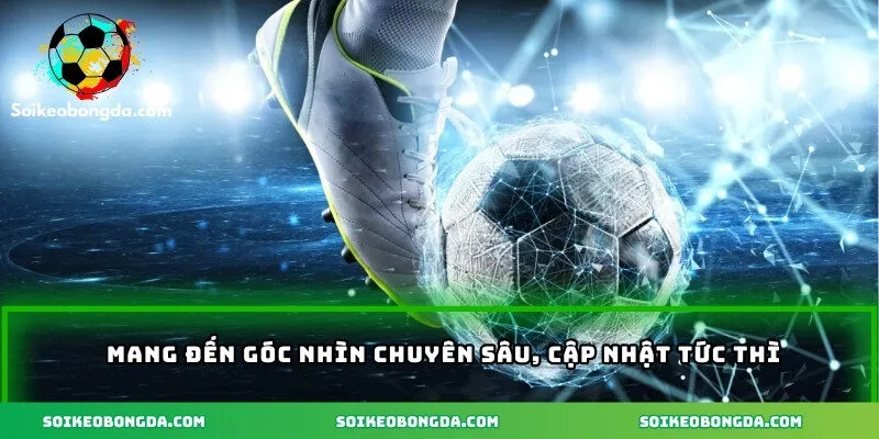 Mang đến góc nhìn chuyên sâu, cập nhật tức thì