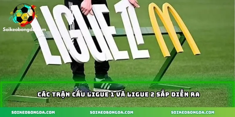 Các trận cầu Ligue 1 và Ligue 2 sắp diễn ra