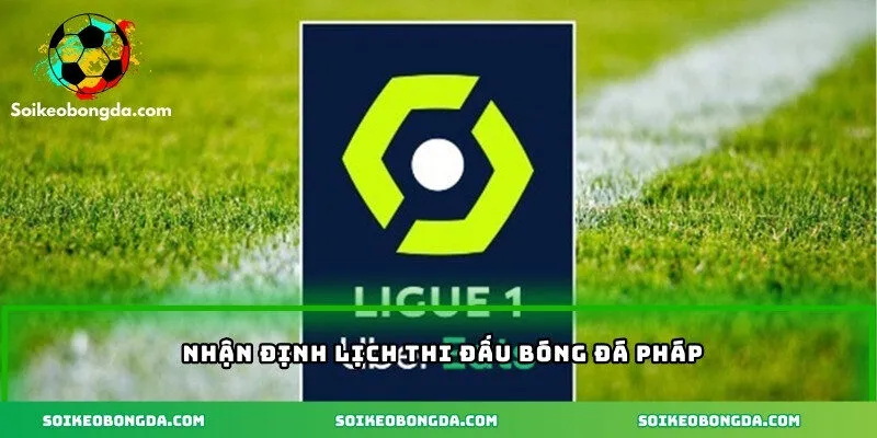 Nhận định lịch thi đấu bóng đá Pháp