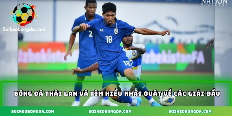 Bóng đá Thái Lan và tìm hiểu khái quát về các giải đấu