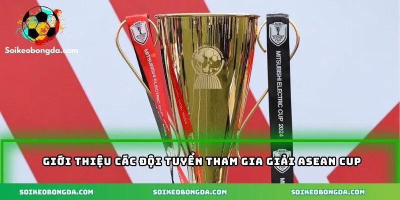 Giới thiệu Các đội tuyển tham gia giải ASEAN Cup