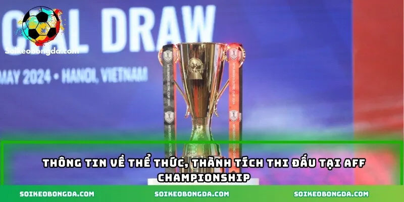 Thông tin về thể thức, thành tích thi đấu tại AFF Championship