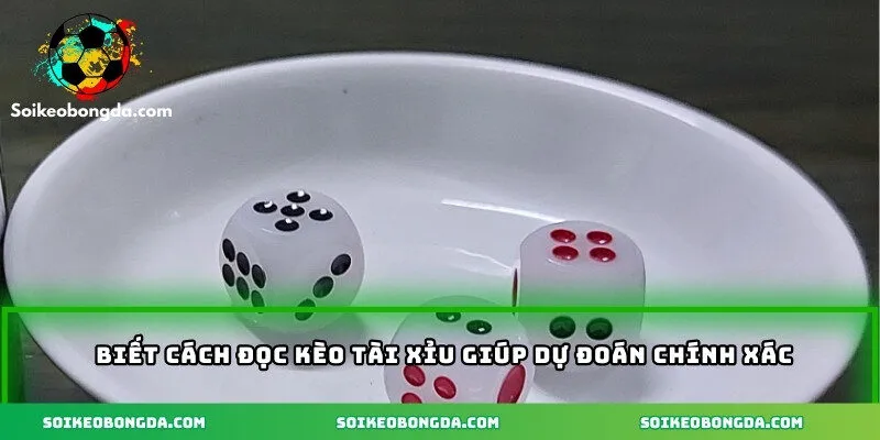 Cách Đọc Kèo Tài Xỉu - Hiểu Đúng Để Cược Thông Minh 2 Biết cách đọc kèo tài xỉu giúp dự đoán chính xác