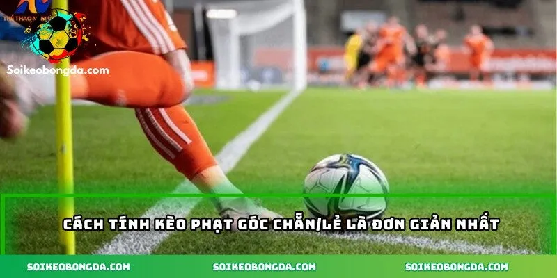 Cách Tính Kèo Phạt Góc - Hướng Dẫn Chi Tiết Cho Anh Em 2 Cách tính kèo phạt góc chẵn/lẻ là đơn giản nhất