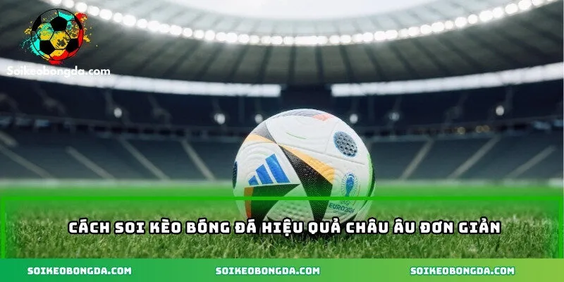 Cách Soi Kèo Bóng Đá Hiệu Quả Giúp Chọn Đúng Tỷ Số 3 Cách soi kèo bóng đá hiệu quả châu Âu đơn giản