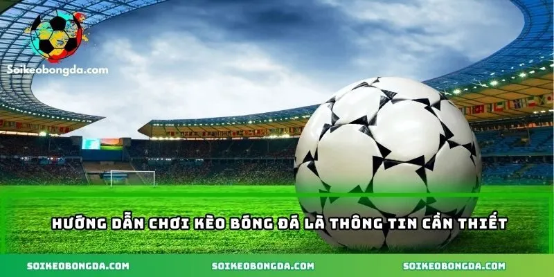 Hướng Dẫn Chơi Kèo Bóng Đá Từ A Đến Z Dành Cho Anh Em 1 Hướng dẫn chơi kèo bóng đá là thông tin cần thiết
