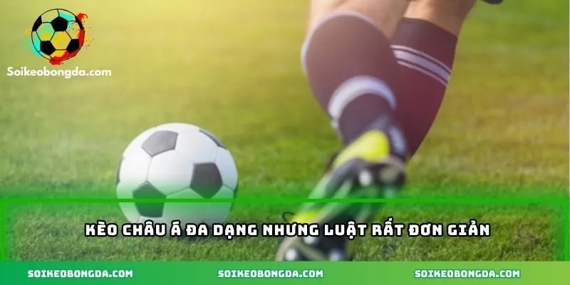 Hướng Dẫn Chơi Kèo Bóng Đá Từ A Đến Z Dành Cho Anh Em 2 Kèo châu Á đa dạng nhưng luật rất đơn giản