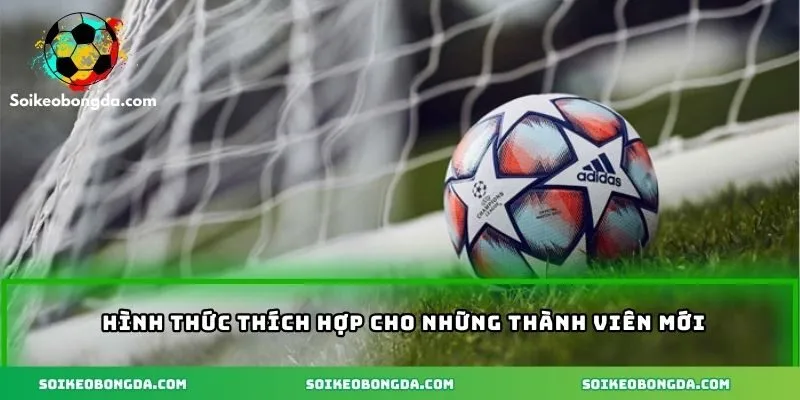 Hướng Dẫn Chơi Kèo Bóng Đá Từ A Đến Z Dành Cho Anh Em 3 Hình thức thích hợp cho những thành viên mới