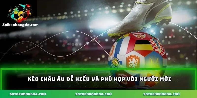 Kinh Nghiệm Chơi Kèo Bóng Đá - Bí Kíp Tăng Tỷ Lệ Thắng 1 Kèo châu Âu dễ hiểu và phù hợp với người mới