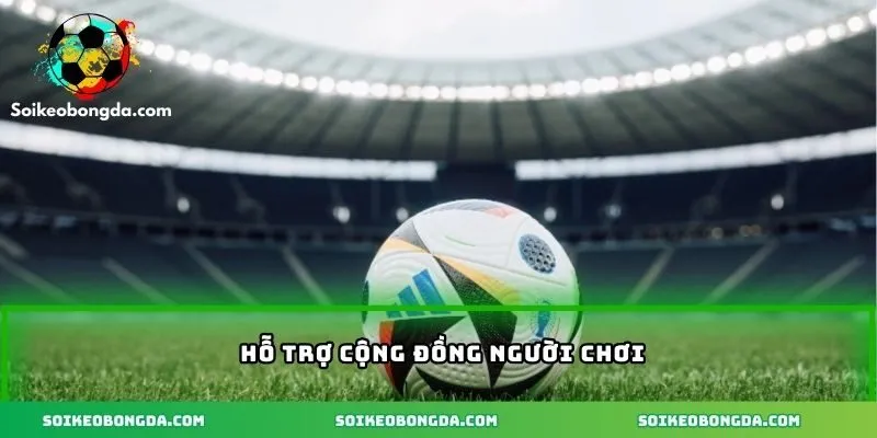 Kinh Nghiệm Chơi Kèo Bóng Đá - Bí Kíp Tăng Tỷ Lệ Thắng 2 Hỗ trợ cộng đồng người chơi