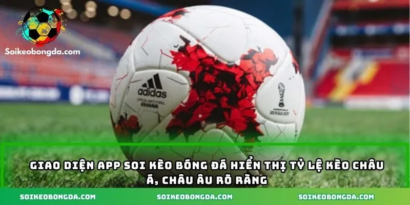 App Soi Kèo Bóng Đá - Cách Tăng Tỷ Lệ Thắng Từ Chuyên Gia 1 Giao diện app soi kèo bóng đá hiển thị tỷ lệ kèo châu Á, châu Âu rõ ràng