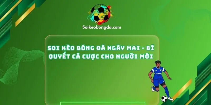 Soi Kèo Bóng Đá Ngày Mai