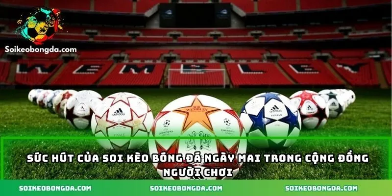 Sức hút của soi kèo bóng đá ngày mai trong cộng đồng người chơi