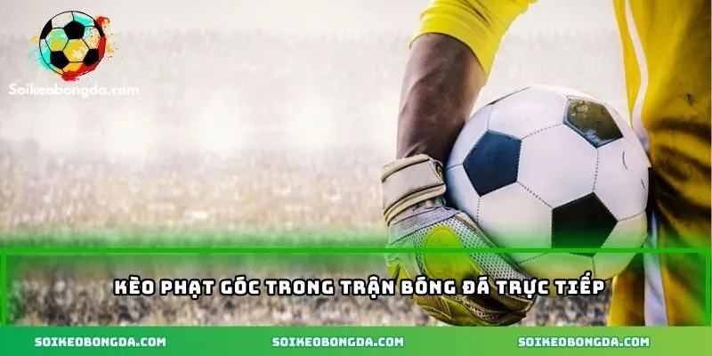 Kèo phạt góc trong trận bóng đá trực tiếp
