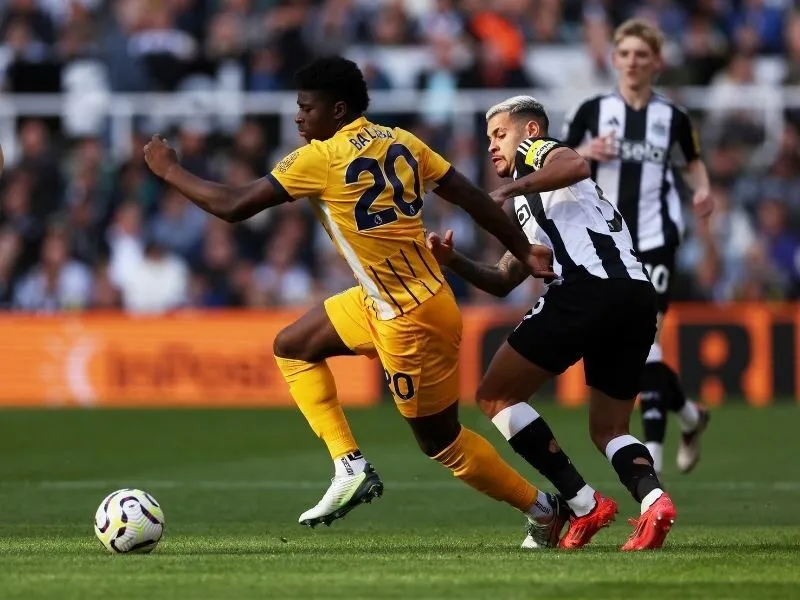 soi-keo-brighton-vs-newcastle-21h-18-10-4