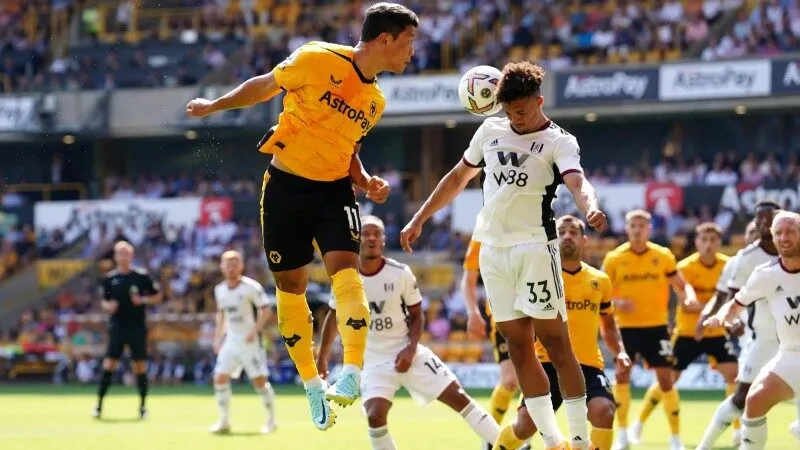Soi kèo Fulham vs Wolves 21h ngày 01/11 vòng 10 Ngoại hạng Anh 2 soi-keo-fulham-vs-wolves-21h-01-11-2