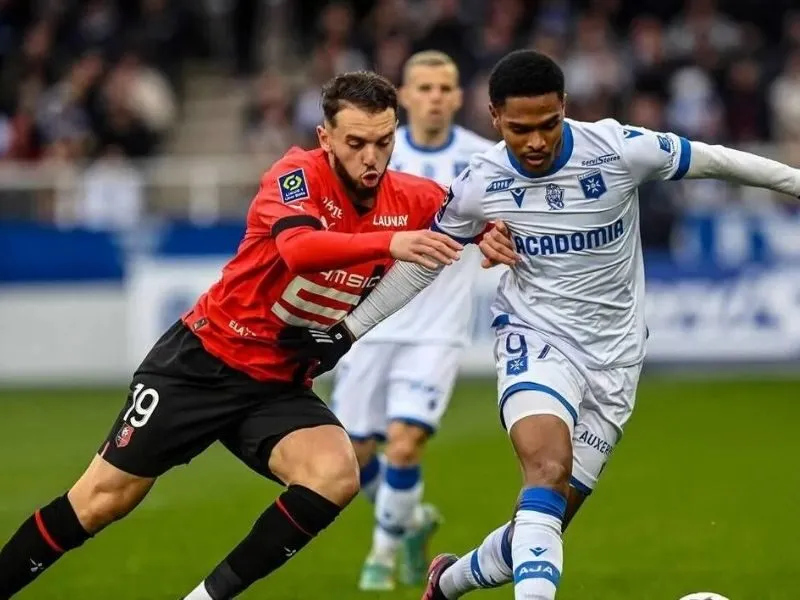 Soi kèo Stade Rennais FC vs AJ Auxerre, 22h15 ngày 19/10: Rennes quyết giành trọn 3 điểm 4 soi-keo-stade-rennais-fc-vs-aj-auxerre-22h15-19-10-4