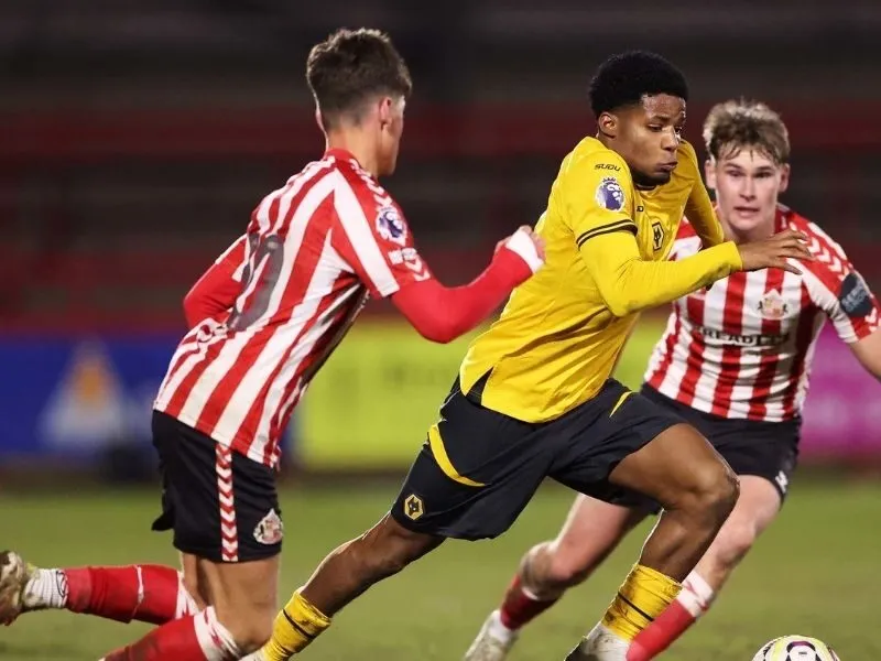 Soi kèo Sunderland vs Wolves 21 ngày 18/10 – Ngoại hạng Anh vòng 8 1 soi-keo-sunderland-vs-wolves-21h-18-10-1