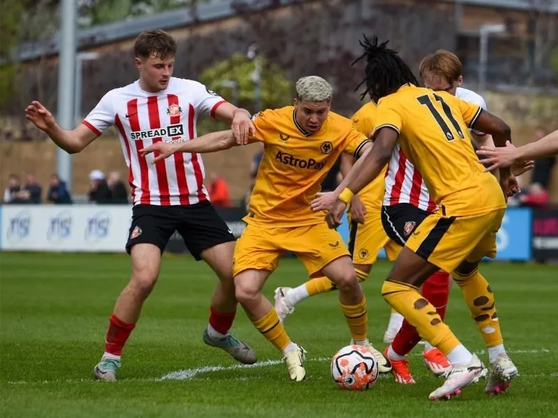 Soi kèo Sunderland vs Wolves 21 ngày 18/10 – Ngoại hạng Anh vòng 8 3 soi-keo-sunderland-vs-wolves-21h-18-10-3