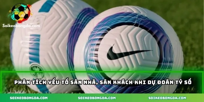 Phân tích yếu tố sân nhà, sân khách khi dự đoán tỷ số