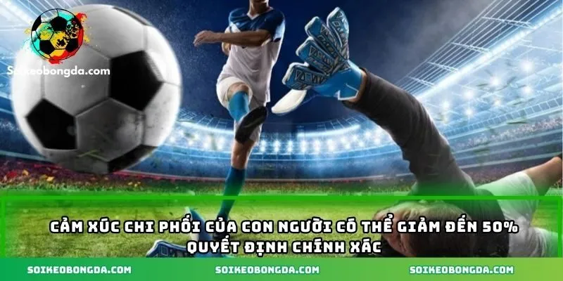 Mẹo Tránh Cược Mù - Bí Kíp Giúp Đặt Cược Thông Minh 2 Cảm xúc chi phối của con người có thể giảm đến 50% quyết định chính xác