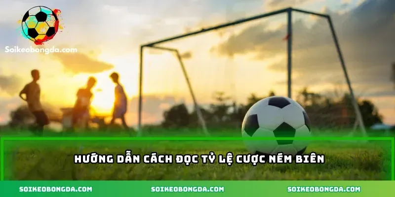 3-huong-dan-cach-doc-ty-le-cuoc-nem-bien