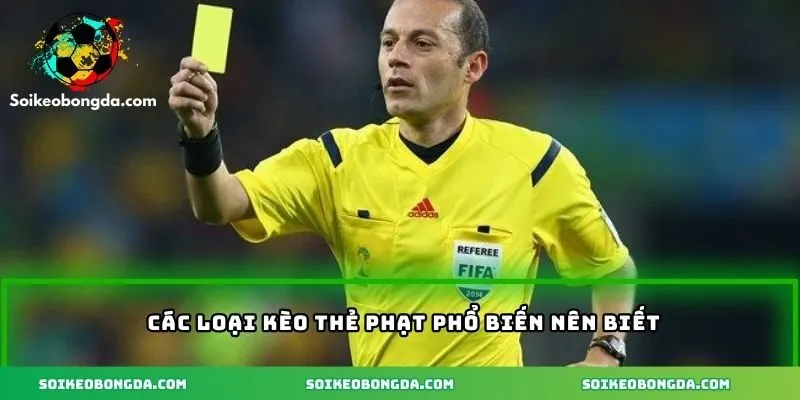 2-nhung-loai-keo-cuoc-the-phat-nen-tham-khao-ca-cuoc