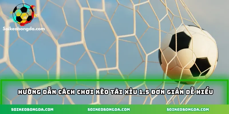 huong-dan-cach-choi-keo-tai-xiu-1-5-don-gian-de-hieu