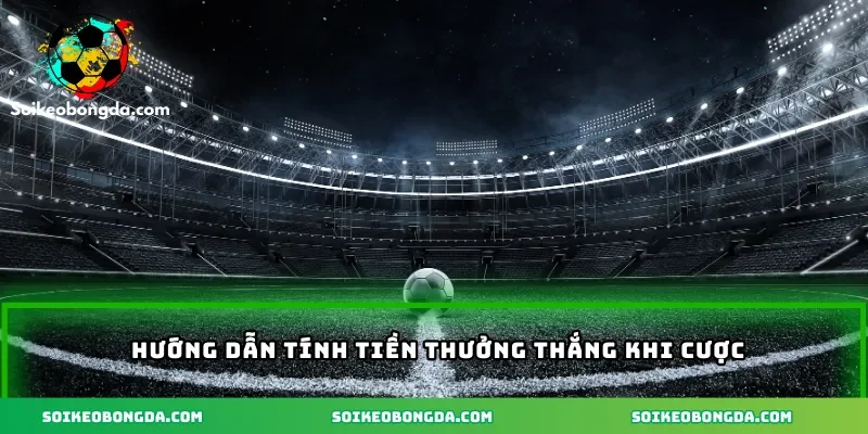 huong-dan-tinh-tien-thuong-khi-thang-cuoc