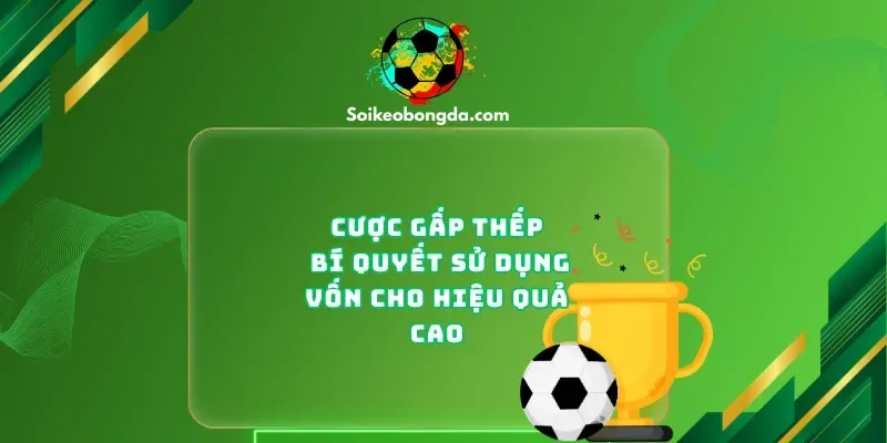 imgi 13 70 1 cuoc gap thep bi quyet su dung von cho hieu qua cao