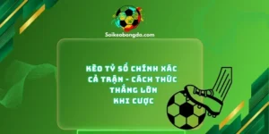 imgi 14 76 1 keo ty so chinh xac ca tran cach thuc thang lon khi cuoc