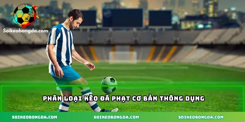 imgi 3 65 2 phan loai keo da phat co ban thong dung