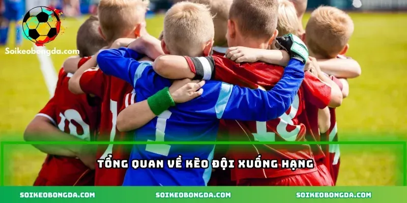 imgi 3 92 2 tong quan ve keo doi bong xuong hang